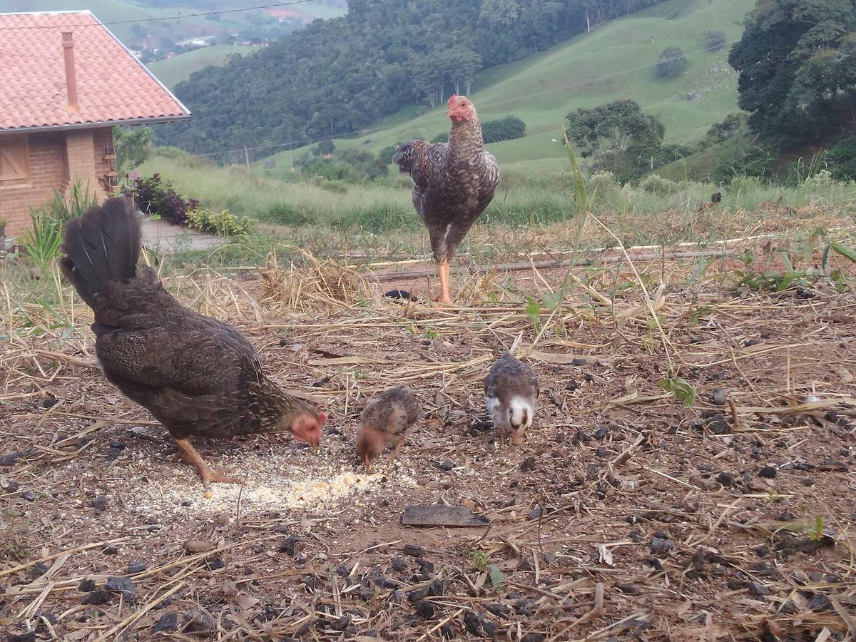 Reobote Chales Sao Bento do Sapucai Bagian luar foto