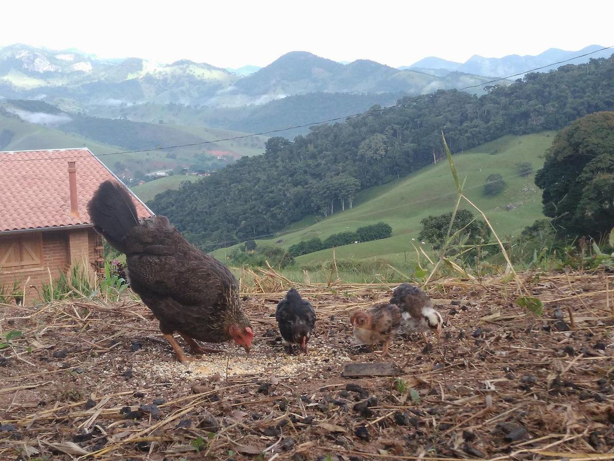 Reobote Chales Sao Bento do Sapucai Bagian luar foto